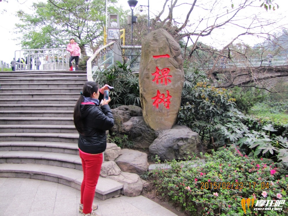 2015春节 重庆 (1345).JPG