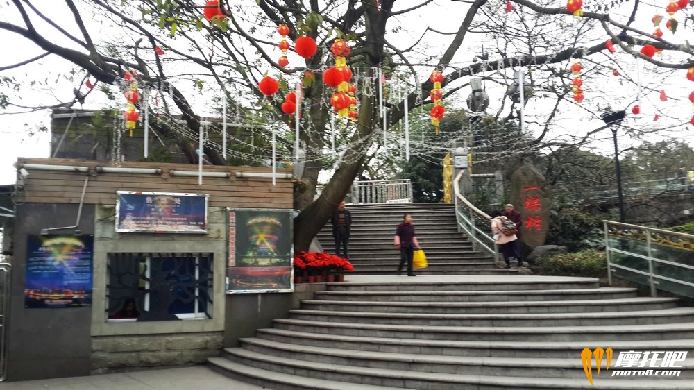 2015春节 重庆 (1348).jpg