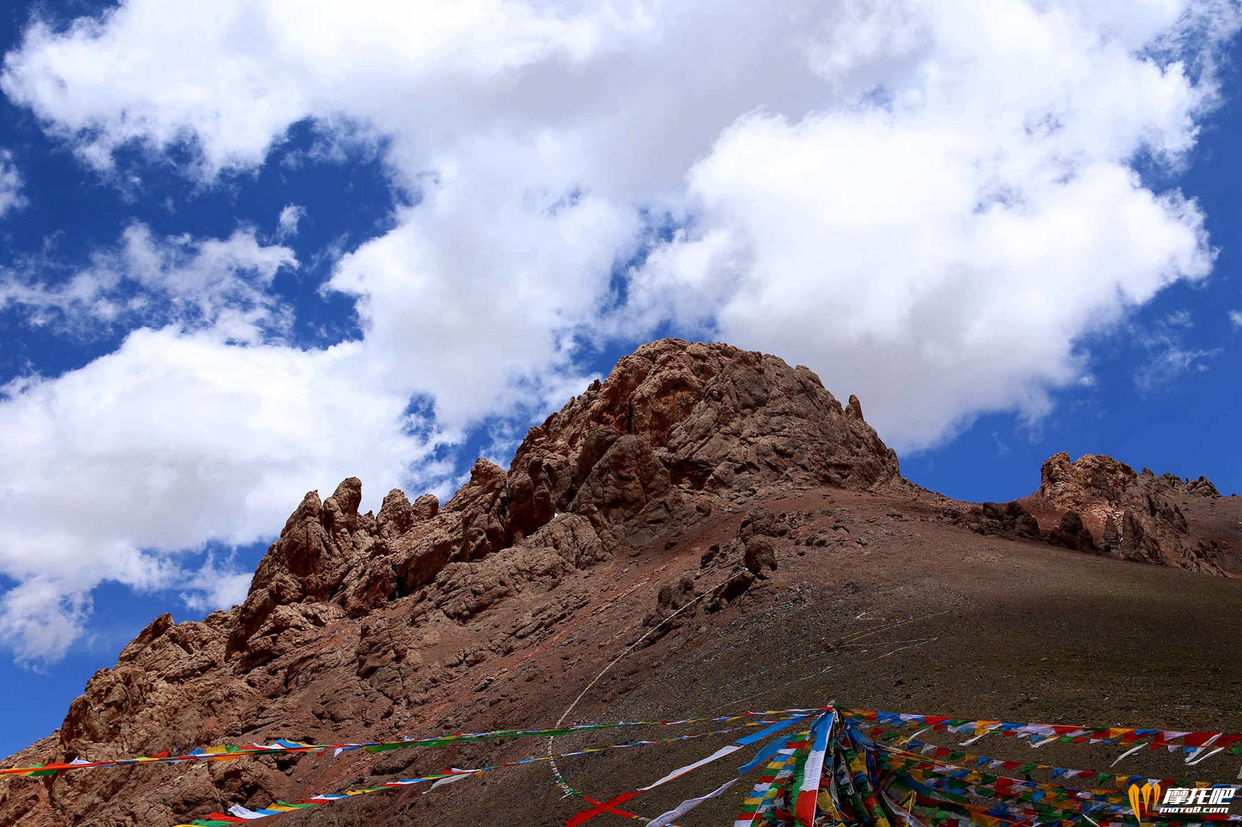 西藏照片 436.jpg