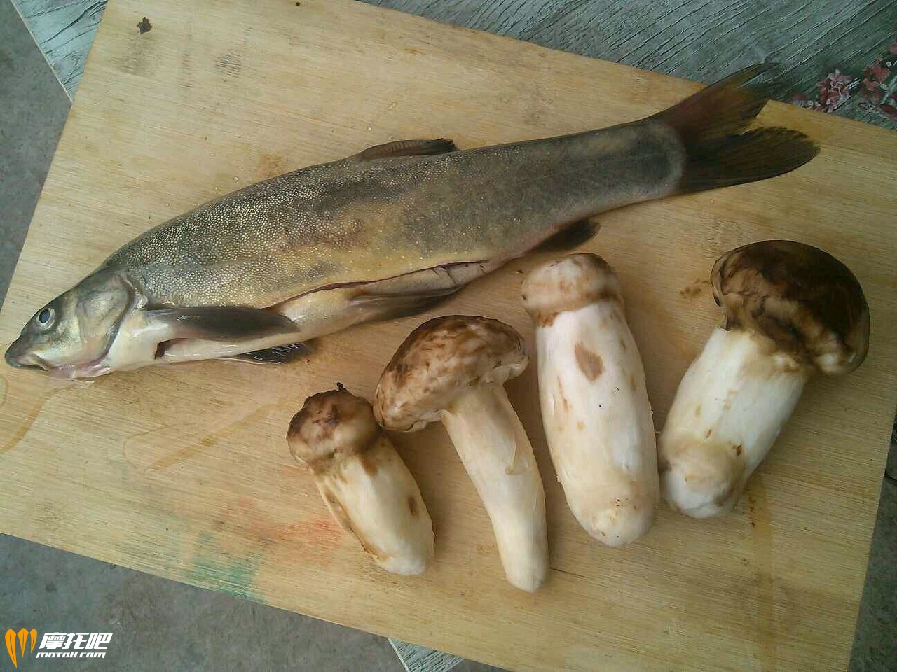 拉萨河鱼与松茸