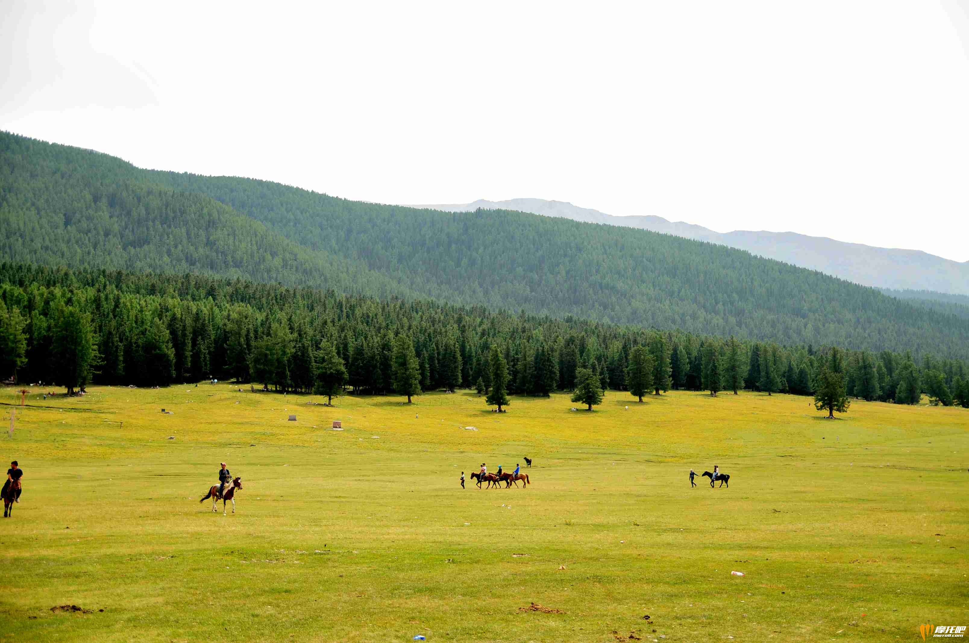 新疆巴里坤大草原