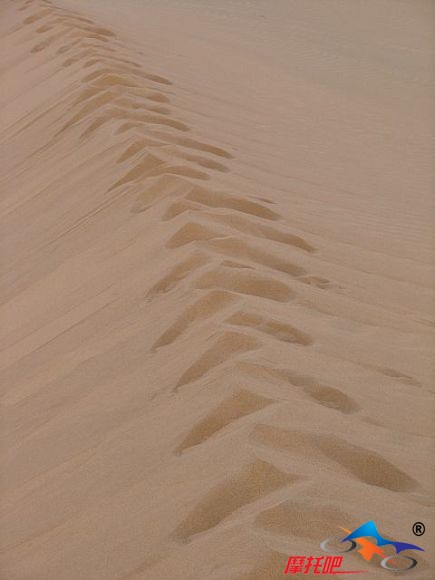 沙漠25.jpg