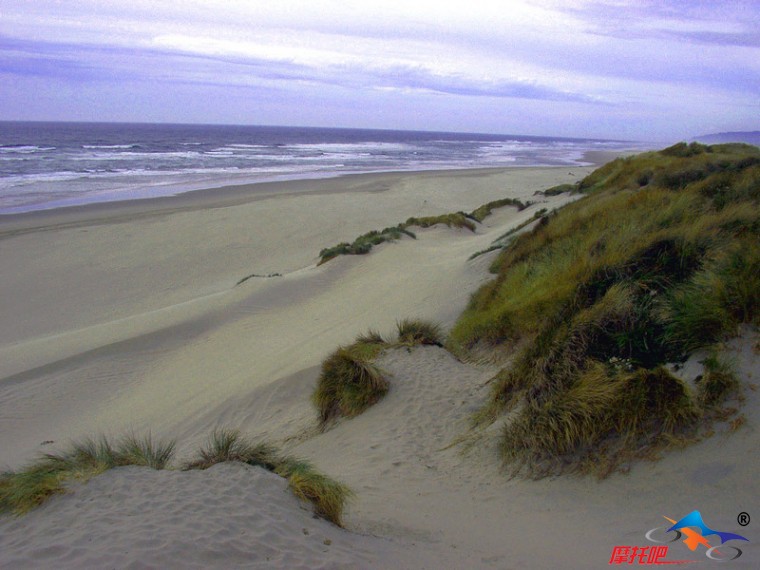 dunes[1].jpg