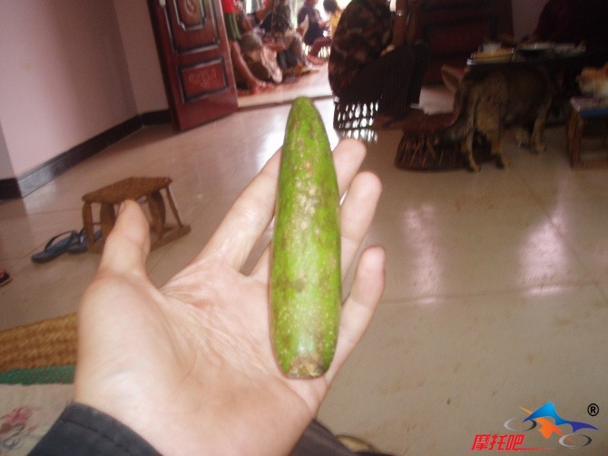 一种酸性食物,类似酸多衣,算木瓜,在树上成对生长,也叫牛角果