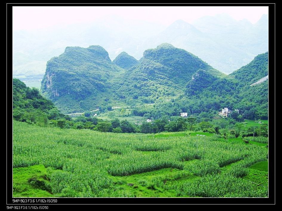 阳山风光