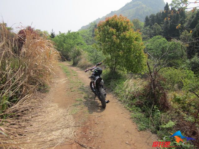 这条山道估计，台州温州两地再也找不到这么好的场地了。 很多越野汽车都能开到山顶